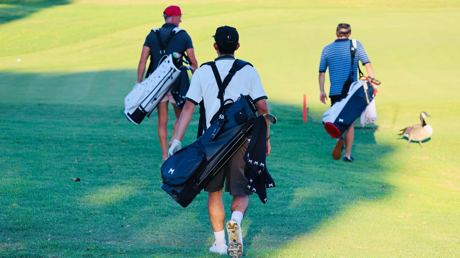 Please Play Golf