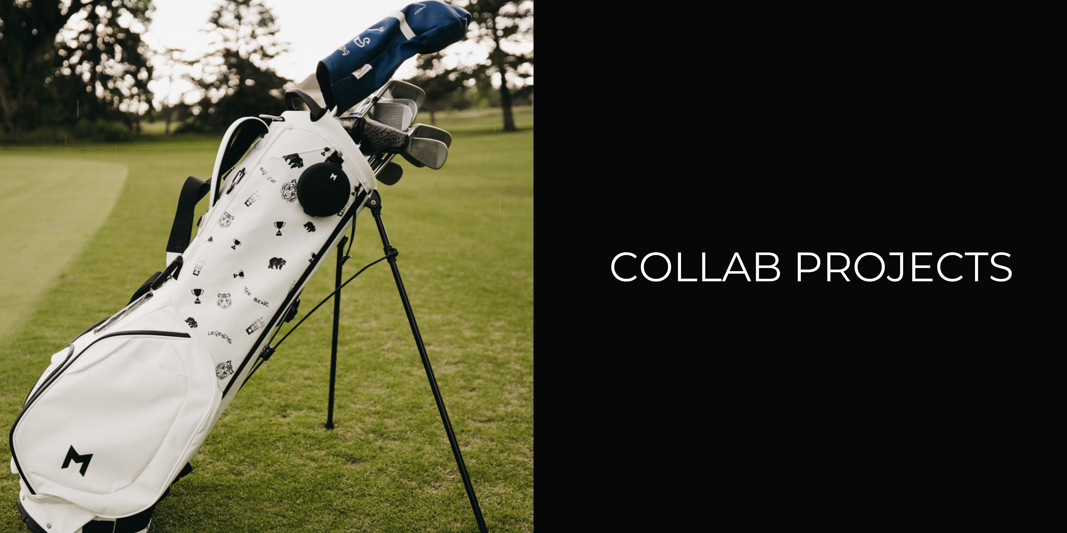 Collab Projects